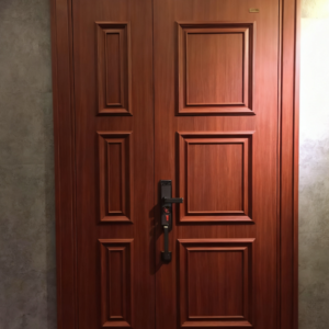 12mm Thick MDF Armored Door (Model: BT2VL2000CF/01, for Residential & Commercial Use)