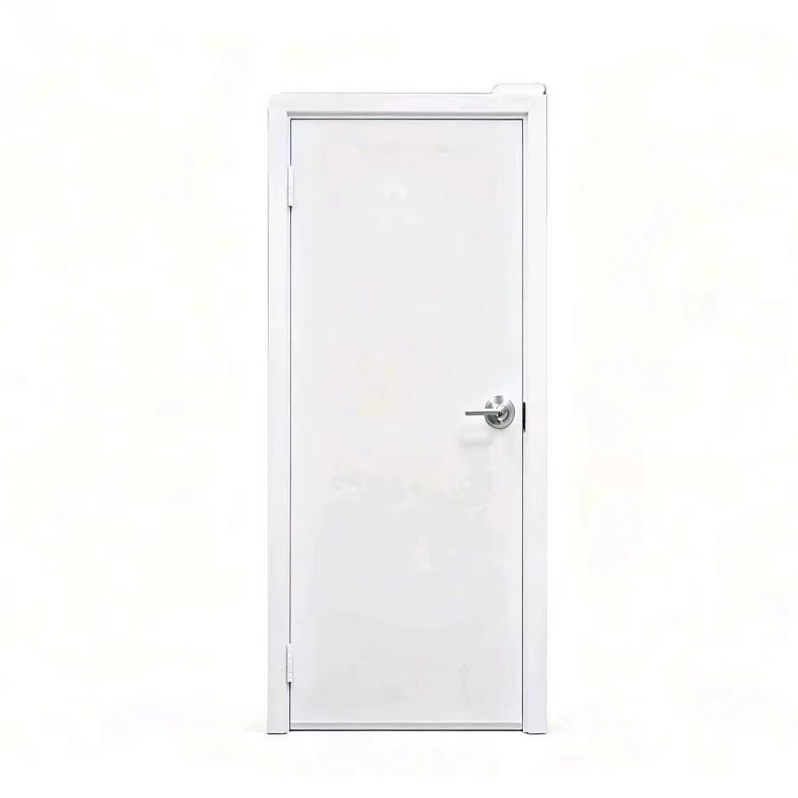 Steel Entrance Security Door with Simple Design, Modern Steel Fire Rated Door.