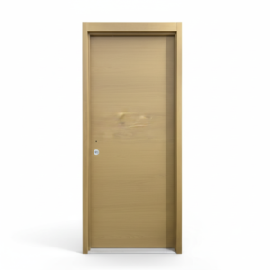 WH-Certificate /-listed Steel Entry Fire Door Minimalist Design Swing Side Opening Finished Meeting Global Safety Interior