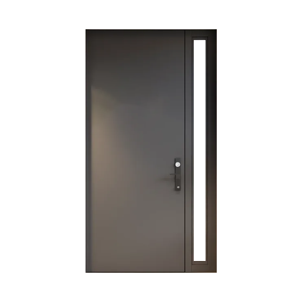 Modern Steel Security Door with Side Glass Panel | Anti-Theft Entry Door for Home & Office