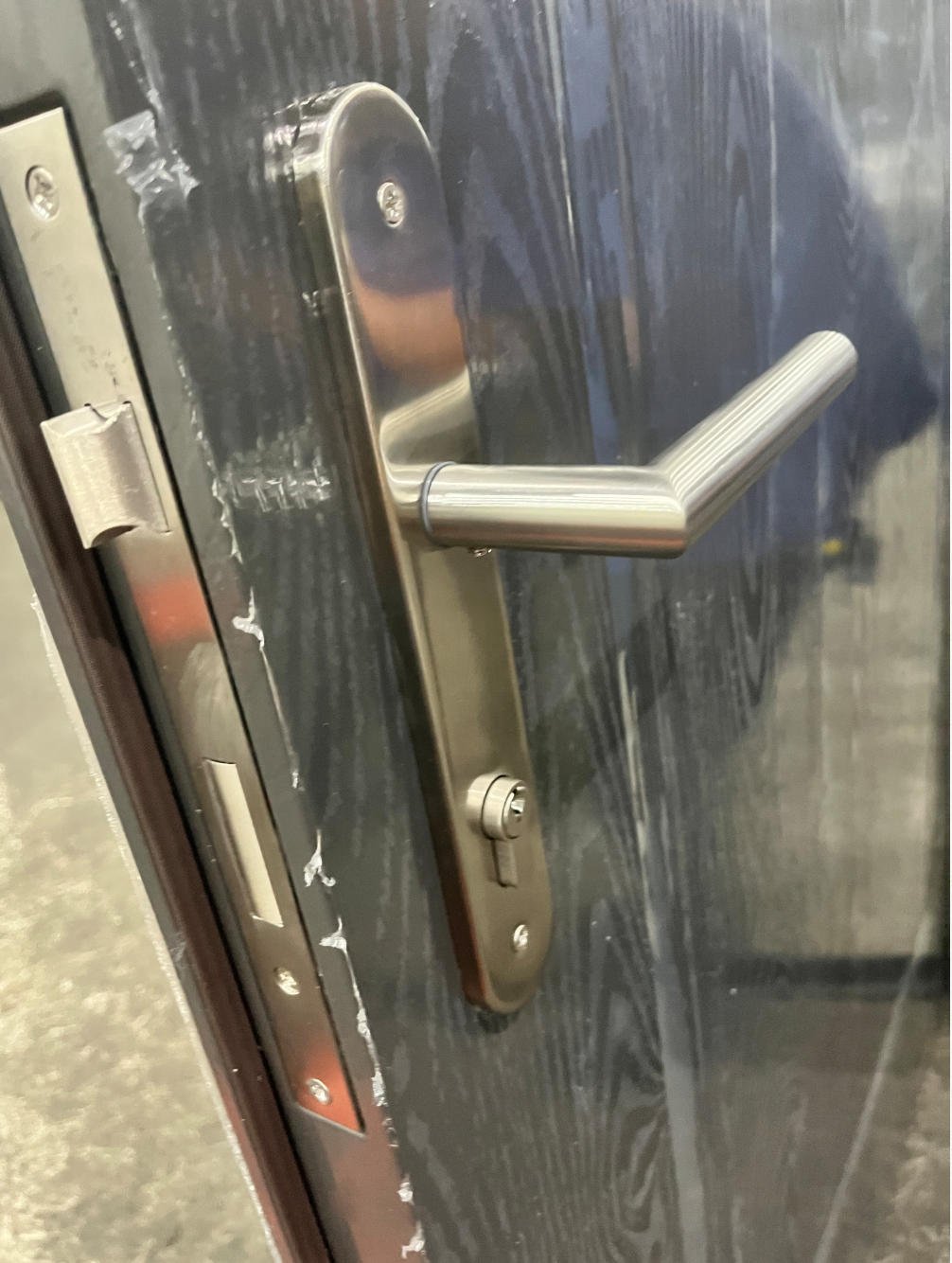 Popular Exterior Main Gate and Front Entry Security Steel Door with Iron Design - Image 3