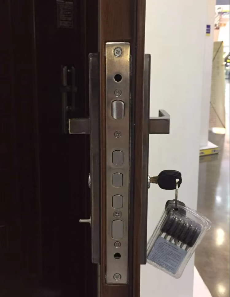 Popular Exterior Main Gate and Front Entry Security Steel Door with Iron Design - Image 6